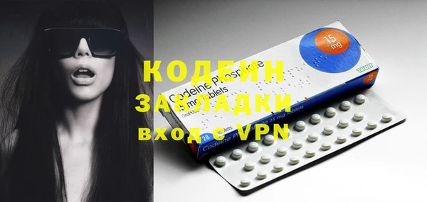 шишки Вяземский