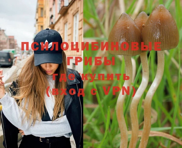 мескалин Вязьма