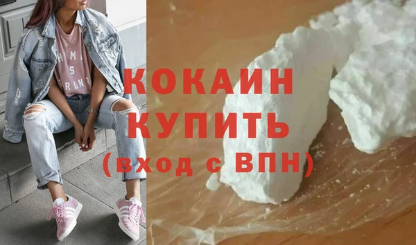 шишки Вяземский