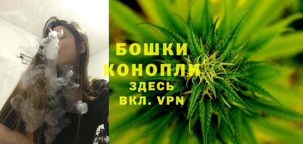 шишки Вяземский
