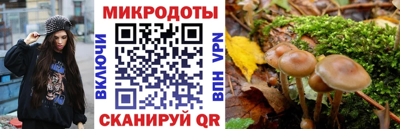 Псилоцибиновые грибы GOLDEN TEACHER  Купить закладки  Сортавала 